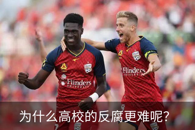 为什么高校的反腐更难呢？