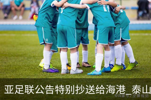 亚足联公告特别抄送给海港 泰山队尚有上诉可能