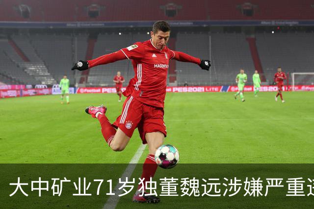 大中矿业71岁独董魏远涉嫌严重违纪违法，接受纪律审查和监察调查