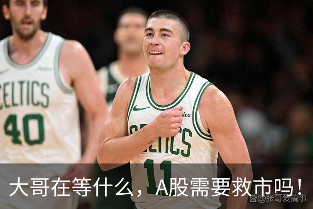 大哥在等什么，A股需要救市吗！