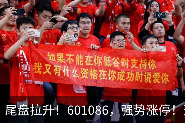 尾盘拉升！601086，强势涨停！这一板块逆市爆发