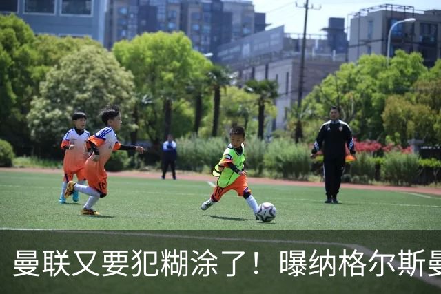 曼联又要犯糊涂了！曝纳格尔斯曼成新帅热门，找埃梅里或才是正解