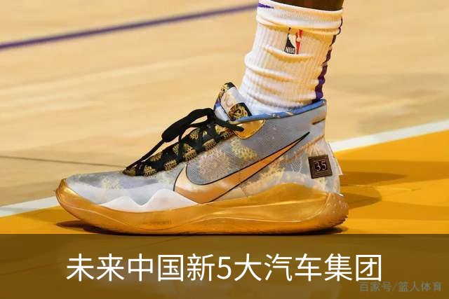 未来中国新5大汽车集团
