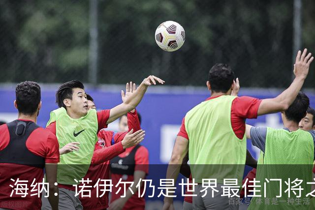 海纳：诺伊尔仍是世界最佳门将之一，失误和年龄无关