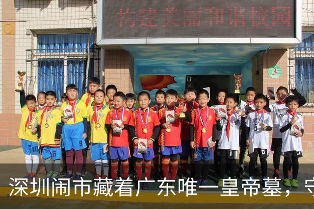 深圳闹市藏着广东唯一皇帝墓，守墓阿伯一句话，戳破700年的传说