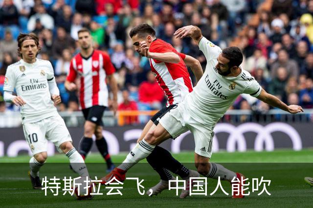 特斯拉会飞，中国人能吹