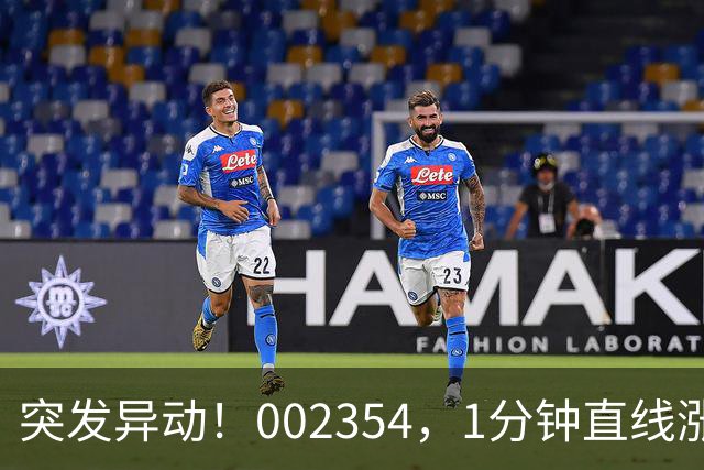 突发异动！002354，1分钟直线涨停！封单超200万手！