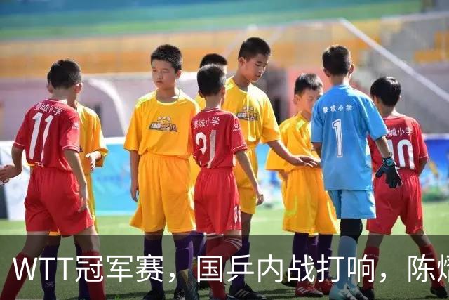 WTT冠军赛，国乒内战打响，陈熠王曼昱二进一，张本美和或成受益者